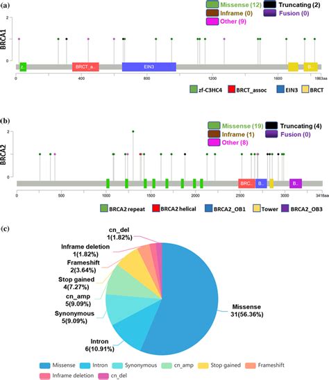 Analysis Of Brca Mutations In Chinese Lung Cancer Patients A B