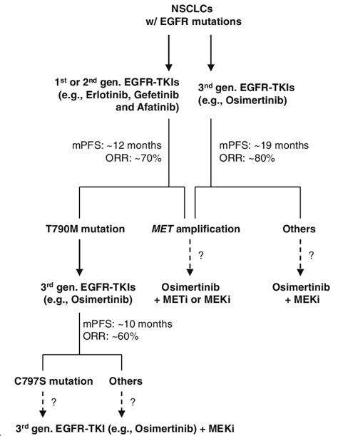 Current Treatment Options For Egfr Mutant Nsclcs And Potential Download Scientific Diagram