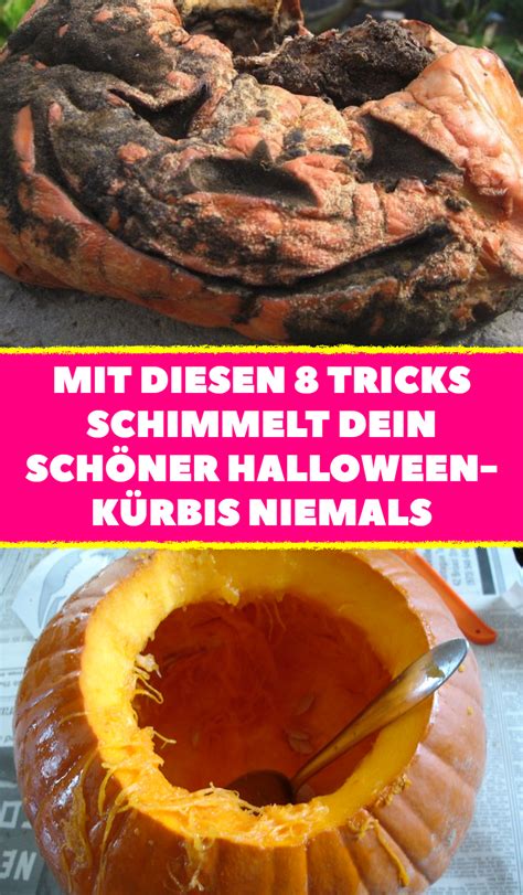 8 tricks deinen kürbis haltbar machen Artofit