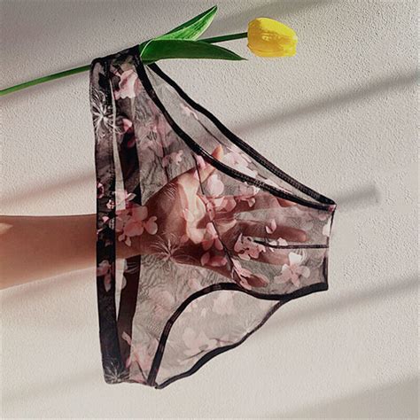 Sheer Cheeky Bikini With Flat Front Men S Underwear 4 Colors