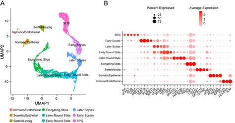 Single Cell Transcriptome Profiling From Published Adult Human Testes