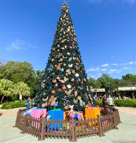 Photos Go On A 2020 Walt Disney World Christmas Tree Tour Allears Net