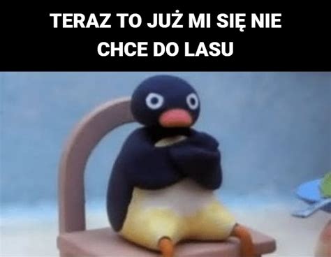 Kiedy Zdejmuj Zakaz Wchodzenia Do Lasu