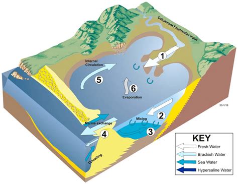 Conceptual Model Of Major Hydrodynamics Positive In A Wave Dominated Download Scientific