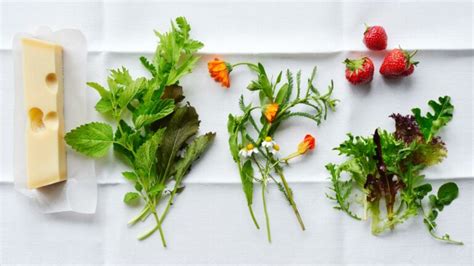 Green Salad With Blossoms Herbs Emmentaler AOP And Strawberries