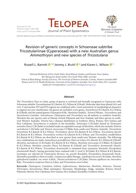 Pdf Revision Of Generic Concepts In Schoeneae Subtribe