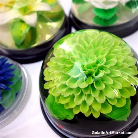 Gelatin Art Tool For Making Flowers In Clear Gelatin Gelatin Art Market