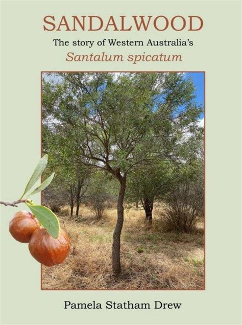 Sandalwood Story of Western Australia's Santalum Spicatum - RWAHS