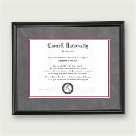 Alumni Artwork Diploma Frame Deluxe Matting