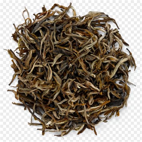 Tea Darjeeling Nilgiri White Dianhong PNG Image PNGHERO