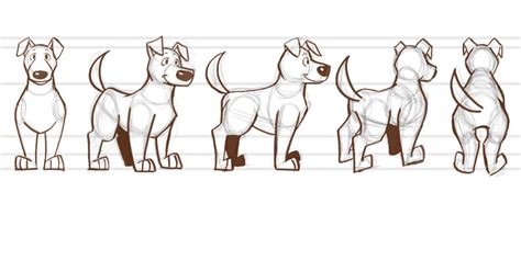 Pin De Prof Deywson Em Model Sheet Ilustrações De Animais Animais