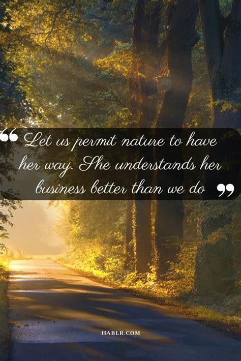 25 Nature Conservation Quotes That Inspire Us To Act