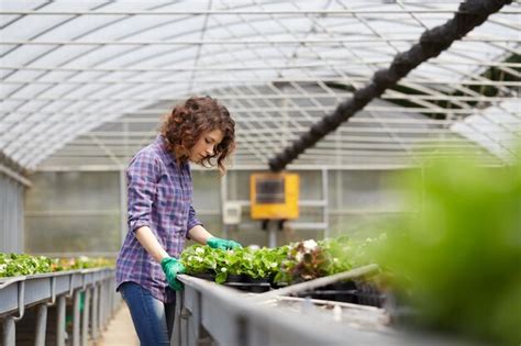 Premium Photo Woman Working Over Plants In Greenhouse