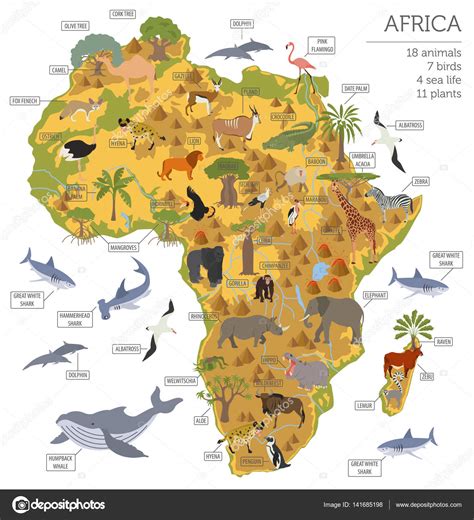 Fauna Y Flora De África Plano Mapa Elementos Constructor Animales B