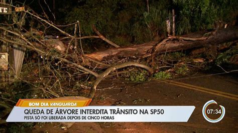 Queda De Rvore Interdita Sp E Deixa Moradores Sem Energia Em S O