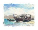 Arabian Dhows Paintings Alan Reed Art Prints Of Dhows Oman