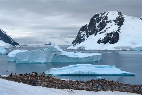 Argentina & Antarctica Explorer - Eclipse Travel