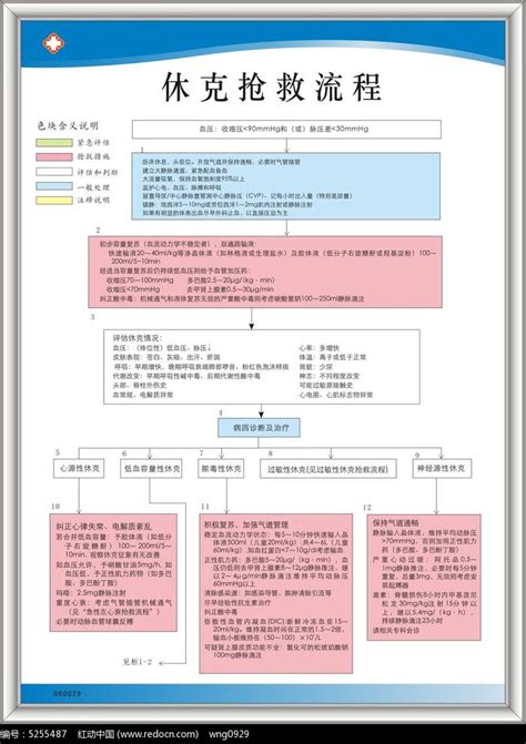休克抢救流程图片下载红动中国