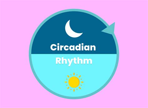 5 Tips To Improve Your Circadian Rhythm Oasis Education