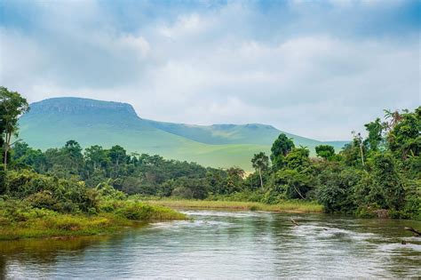 La Foresta pluviale del Congo quanto è grande e perché è a rischio Ohga