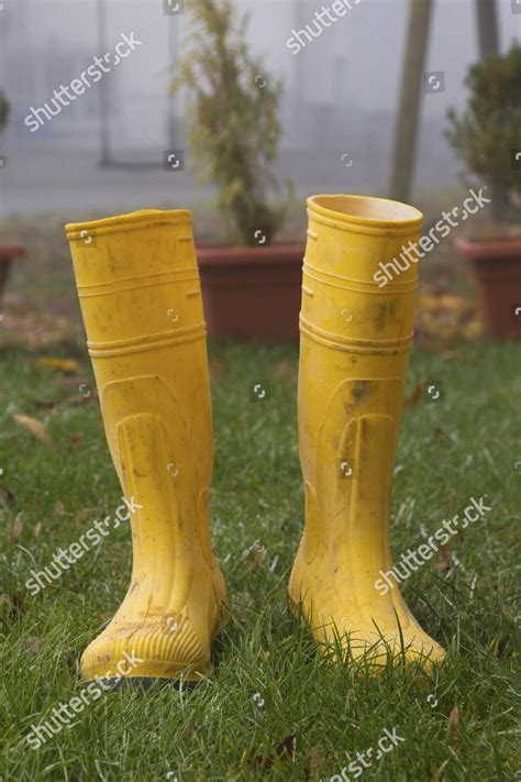 Pair Yellow Rubber Boots Garden Editorial Stock Photo Stock Image