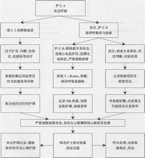 过敏性休克抢救程序 临床常见疾病护理 医学