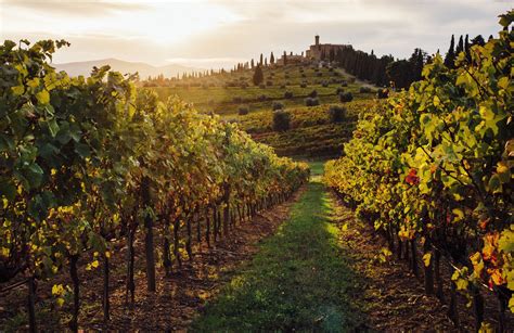 gyűlölet nyugalom Értékes best wineries to visit in tuscany korrupt ...