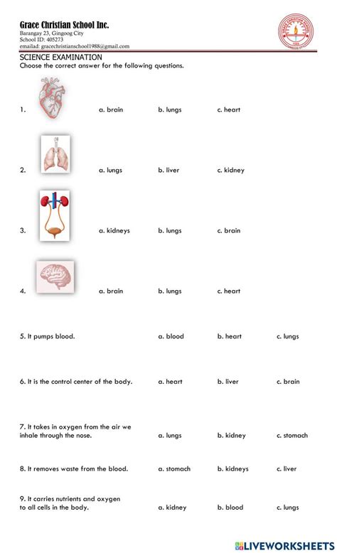 Science | lovlilaali | Live Worksheets