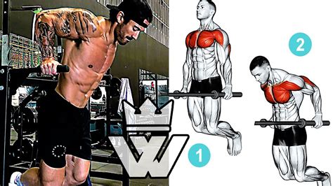 13 Exercises For Building Muscle Muscle Growth Youtube