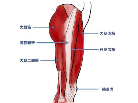 太ももの外側が痛い時に行うべきストレッチ・トレーニング方法 Bpm Function