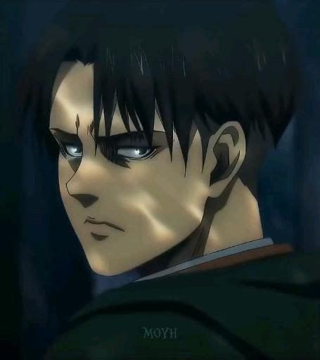 Levi Ackerman Credits To Lilmoyh On Instagram Video En