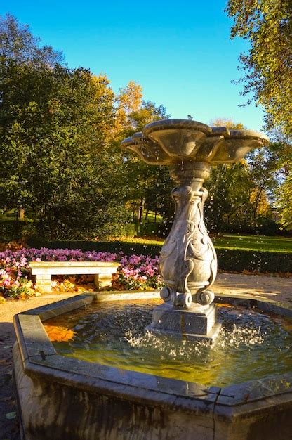 Premium Photo Pond In Park
