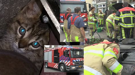 Geweldige Actie Brandweer Valkenburg A D Geul Redt Kitten Onder