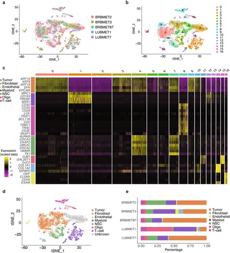 Single Cell Rna Seq Data Analysis And Cell Annotation A T Sne Plot Of