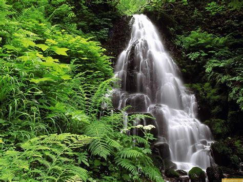 Maravillas de la Naturaleza - Taringa!