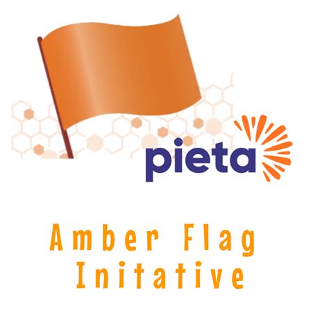 The Amber Flag Initiative | Rylane National School