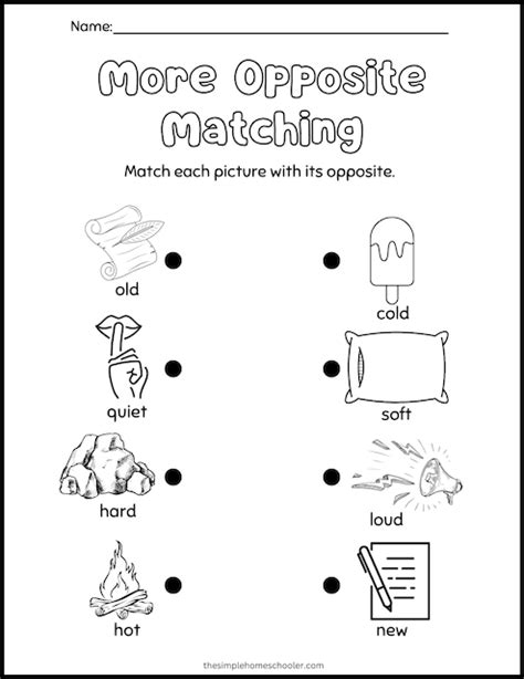 Free Preschool Opposite Worksheet Download Free Preschool Opposite Worksheet Png Images Free