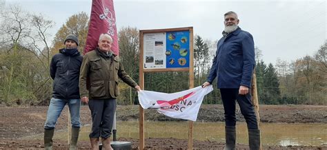 Extra Leefgebied Voor Kamsalamander Regionaal Landschap Lage Kempen