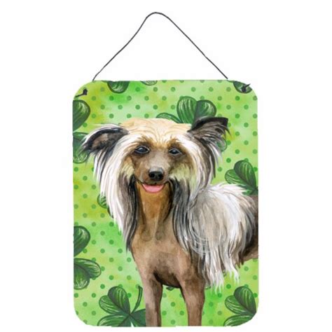 Chinese Crested St Patrick S Wall Or Door Hanging Prints Green 16hx12w Kroger