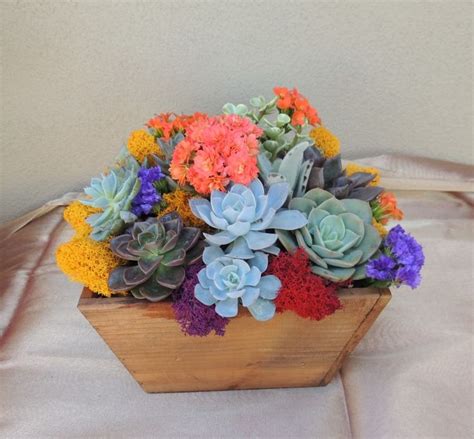 Summer Wood Box Succulent Arrangement Urban Succulents Succulents