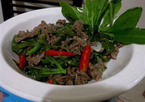 Resep Tumis Daun Ginseng Dengan Daging Sapi Oleh Arisanti Cookpad