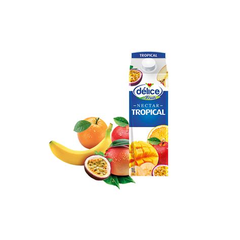 JUS DÉLICE DE FRUITS TROPICAL NECTAR 1L Otrity