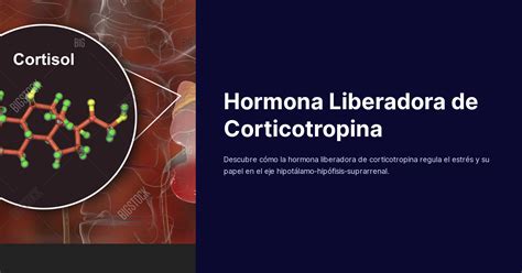 Hormona Liberadora De Corticotropina