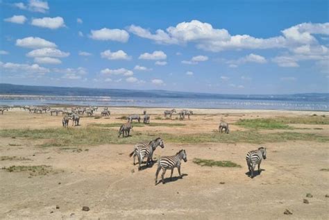 Lake Nakuru National Park Safari Alderley Tours Travel