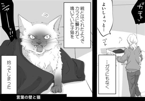 「猫の声がわかればいいのに」全愛猫家の願いが届いた？子猫の発する言葉に「エモイ」「尊い」の声続々【作者インタビュー】｜ウォーカープラス