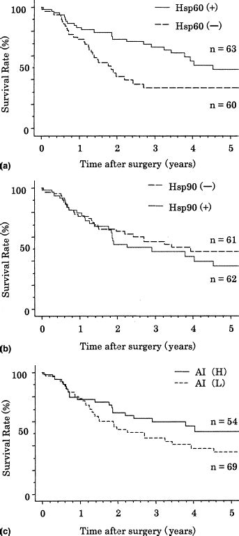 Expression Of Heat Shock Protein Hsp60 Correlated With The Apoptotic