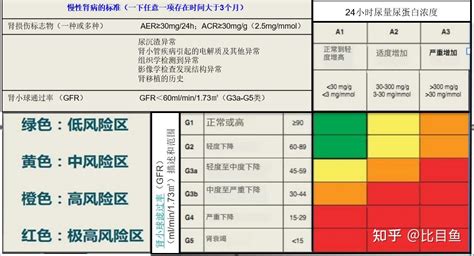 慢性肾脏病的定义和分期 知乎