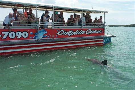 Madeira Beach Dolphin Quest Cruise St Petersburg