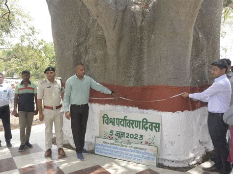 Geo Tagging Of Khorasani Tamarind Tree Started On World Environment Day