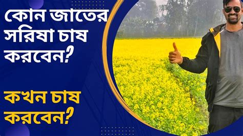 কোন জাতের সরিষা চাষ করবেন কেন করবেন উপযুক্ত সময় কখন Mustard